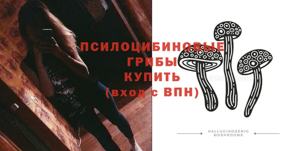 mix Инта