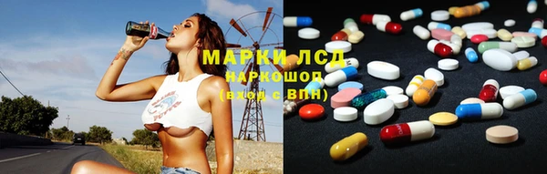 ПСИЛОЦИБИНОВЫЕ ГРИБЫ Каменка