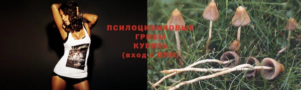 кристаллы Каменногорск