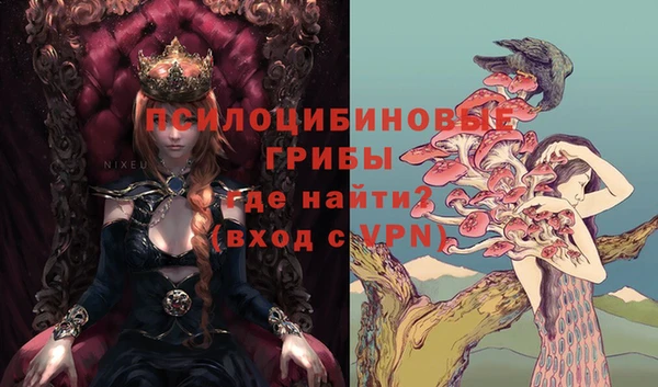 ПСИЛОЦИБИНОВЫЕ ГРИБЫ Каменка