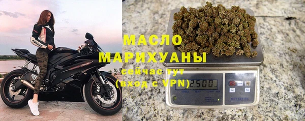 mix Инта