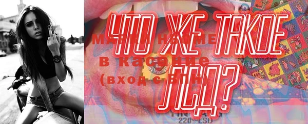 mix Инта