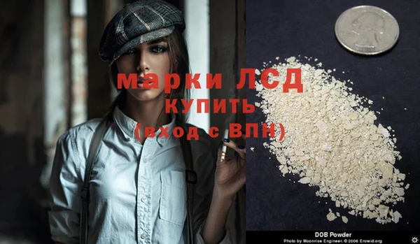 ПСИЛОЦИБИНОВЫЕ ГРИБЫ Каменка