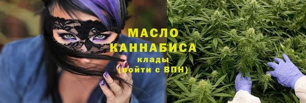 mix Инта