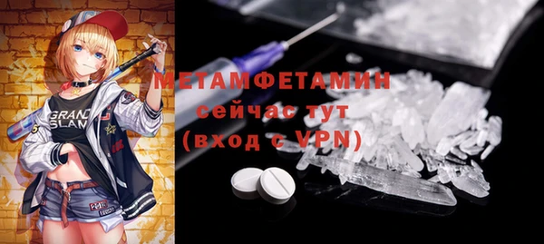прущие грибы Иннополис