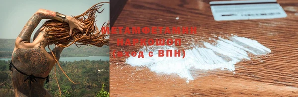 прущие грибы Иннополис