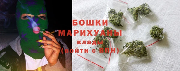 ПСИЛОЦИБИНОВЫЕ ГРИБЫ Каменка