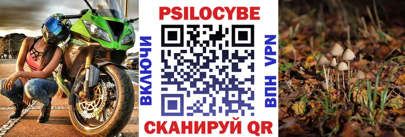 Псилоцибиновые грибы Magic Shrooms  Купить закладки  Петров Вал 